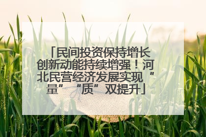 民间投资保持增长 创新动能持续增强！河北民营经济发展实现“量”“质”双提升