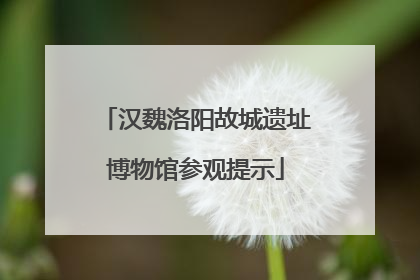 汉魏洛阳故城遗址博物馆参观提示