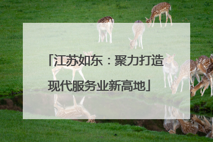 江苏如东：聚力打造现代服务业新高地