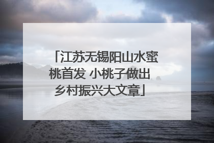 江苏无锡阳山水蜜桃首发 小桃子做出乡村振兴大文章