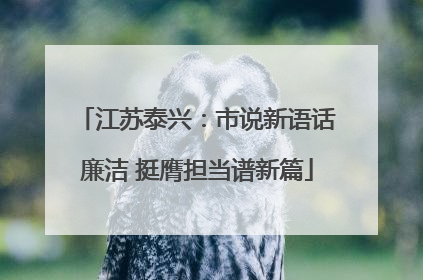 江苏泰兴：市说新语话廉洁 挺膺担当谱新篇