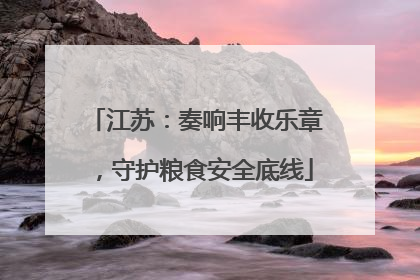 江苏：奏响丰收乐章，守护粮食安全底线