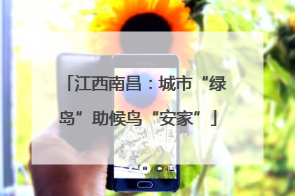 江西南昌：城市“绿岛”助候鸟“安家”