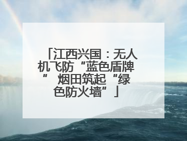 江西兴国：无人机飞防“蓝色盾牌” 烟田筑起“绿色防火墙”