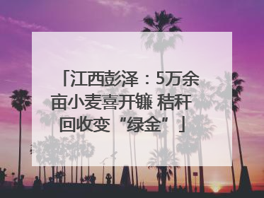 江西彭泽：5万余亩小麦喜开镰 秸秆回收变“绿金”