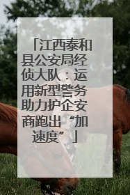 江西泰和县公安局经侦大队：运用新型警务助力护企安商跑出“加速度”