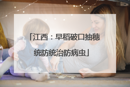 江西：早稻破口抽穗 统防统治防病虫