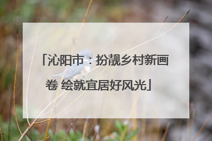 沁阳市：扮靓乡村新画卷 绘就宜居好风光