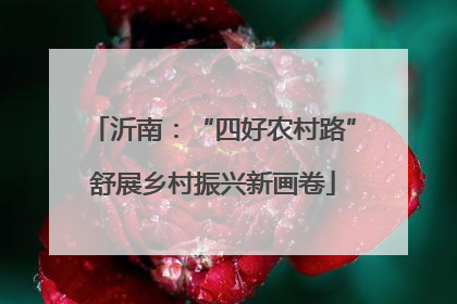 沂南：“四好农村路”舒展乡村振兴新画卷