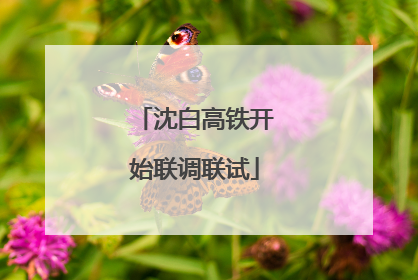 沈白高铁开始联调联试