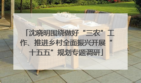 沈晓明围绕做好“三农”工作、推进乡村全面振兴开展“十五五”规划专题调研
