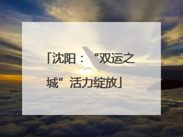 沈阳：“双运之城”活力绽放