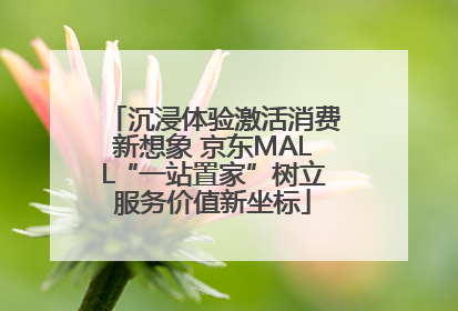 沉浸体验激活消费新想象 京东MALL“一站置家”树立服务价值新坐标