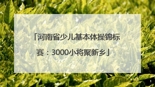 河南省少儿基本体操锦标赛：3000小将聚新乡