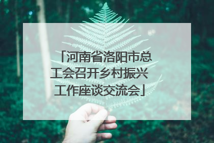 河南省洛阳市总工会召开乡村振兴工作座谈交流会