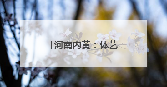河南内黄：体艺融合扬风采 活力校园启未来