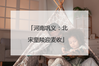 河南巩义：北宋皇陵迎麦收