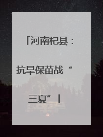 河南杞县：抗旱保苗战“三夏”