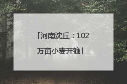 河南沈丘：102 万亩小麦开镰