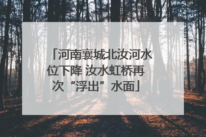 河南襄城北汝河水位下降 汝水虹桥再次“浮出”水面