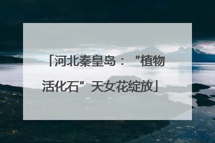 河北秦皇岛：“植物活化石”天女花绽放