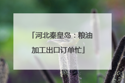 河北秦皇岛：粮油加工出口订单忙