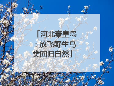河北秦皇岛：放飞野生鸟类回归自然