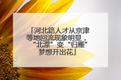 河北籍人才从京津等地回流现象明显，“北漂”变“归雁” 梦想开出花