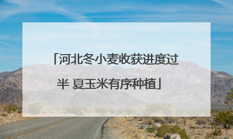 河北冬小麦收获进度过半 夏玉米有序种植