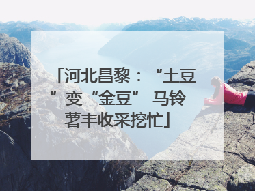 河北昌黎：“土豆”变“金豆” 马铃薯丰收采挖忙