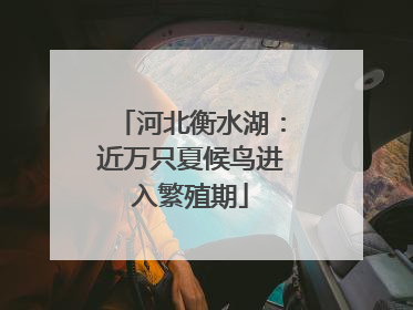 河北衡水湖：近万只夏候鸟进入繁殖期
