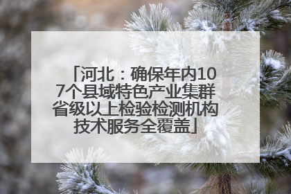 河北：确保年内107个县域特色产业集群省级以上检验检测机构技术服务全覆盖