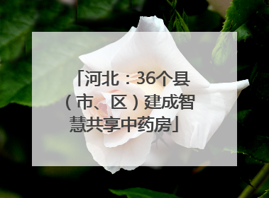 河北：36个县（市、区）建成智慧共享中药房