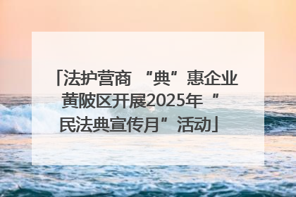 法护营商 “典”惠企业 黄陂区开展2025年“民法典宣传月”活动