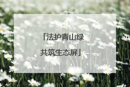 法护青山绿 共筑生态屏
