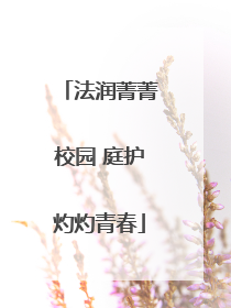 法润菁菁校园 庭护灼灼青春