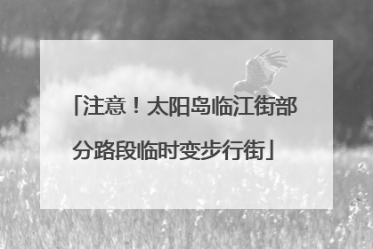 注意！太阳岛临江街部分路段临时变步行街