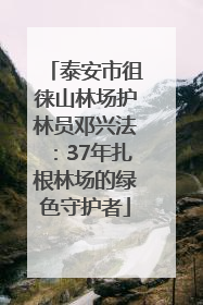 泰安市徂徕山林场护林员邓兴法：37年扎根林场的绿色守护者