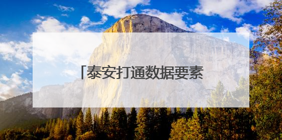 泰安打通数据要素价值化全链路径 典型案例亮相第七届数字中国建设峰会