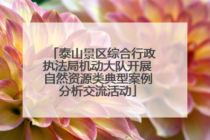 泰山景区综合行政执法局机动大队开展自然资源类典型案例分析交流活动