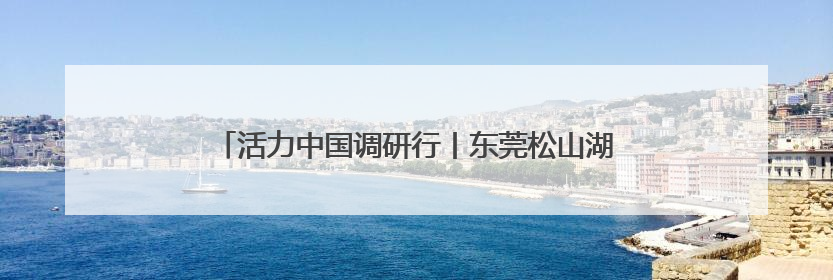 活力中国调研行丨东莞松山湖：荔枝园里长出来的科学城