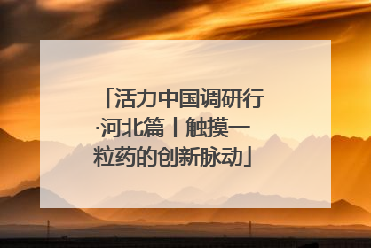 活力中国调研行·河北篇丨触摸一粒药的创新脉动