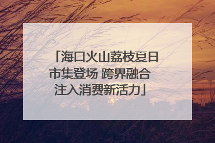 海口火山荔枝夏日市集登场 跨界融合注入消费新活力