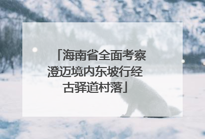 海南省全面考察澄迈境内东坡行经古驿道村落