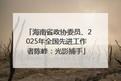 海南省政协委员、2025年全国先进工作者陈峰：光影捕手