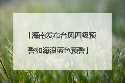 海南发布台风四级预警和海浪蓝色预警