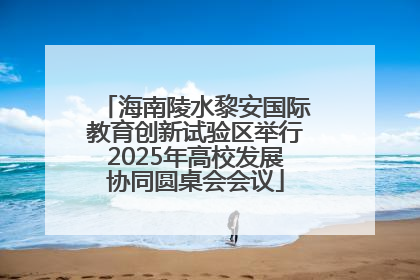 海南陵水黎安国际教育创新试验区举行2025年高校发展协同圆桌会会议