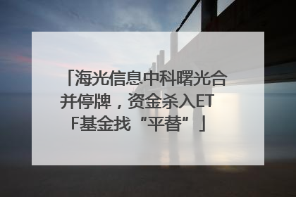 海光信息中科曙光合并停牌，资金杀入ETF基金找“平替”