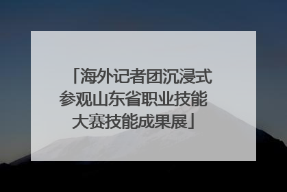 海外记者团沉浸式参观山东省职业技能大赛技能成果展