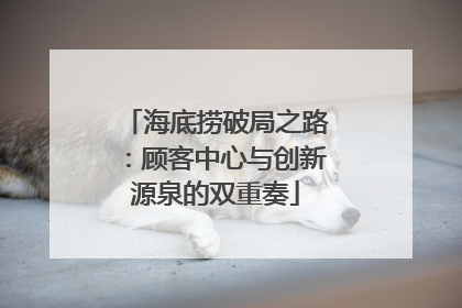 海底捞破局之路：顾客中心与创新源泉的双重奏